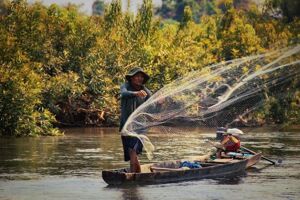 Don Khong Culture Travel Guide: Lao Traditions, Eco-Tours & Costs